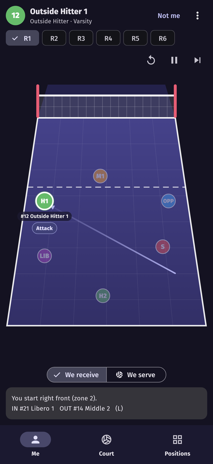 A player's own view of the court